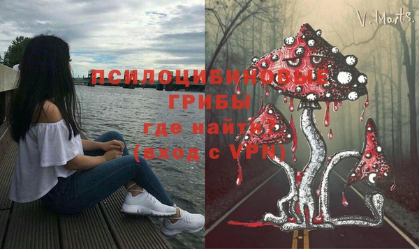 ПСИЛОЦИБИНОВЫЕ ГРИБЫ Надым
