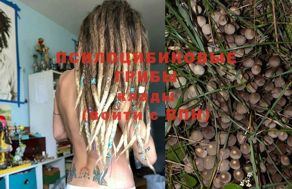 гидра Алзамай
